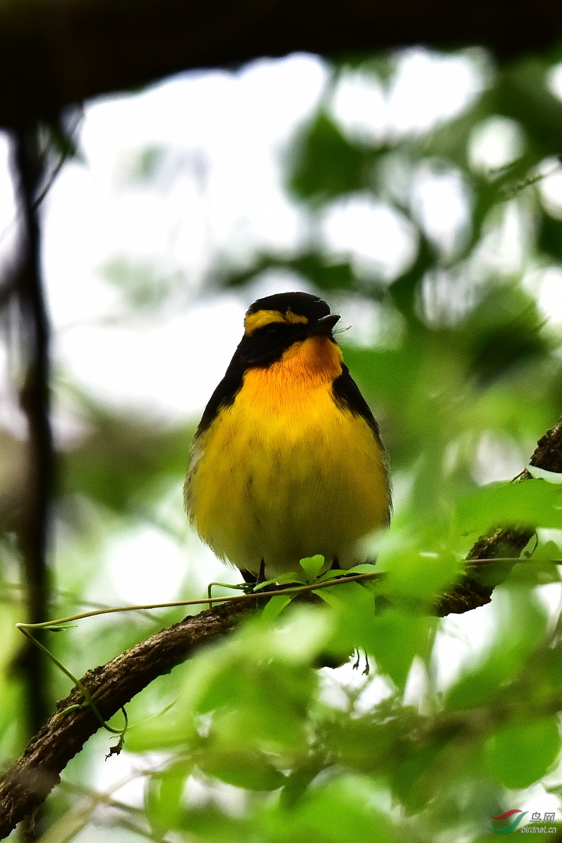 DSC_1159.JPG