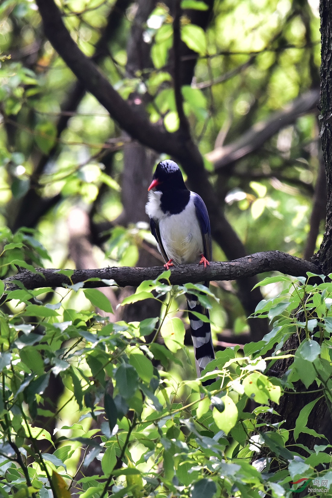 DSC_0389.JPG
