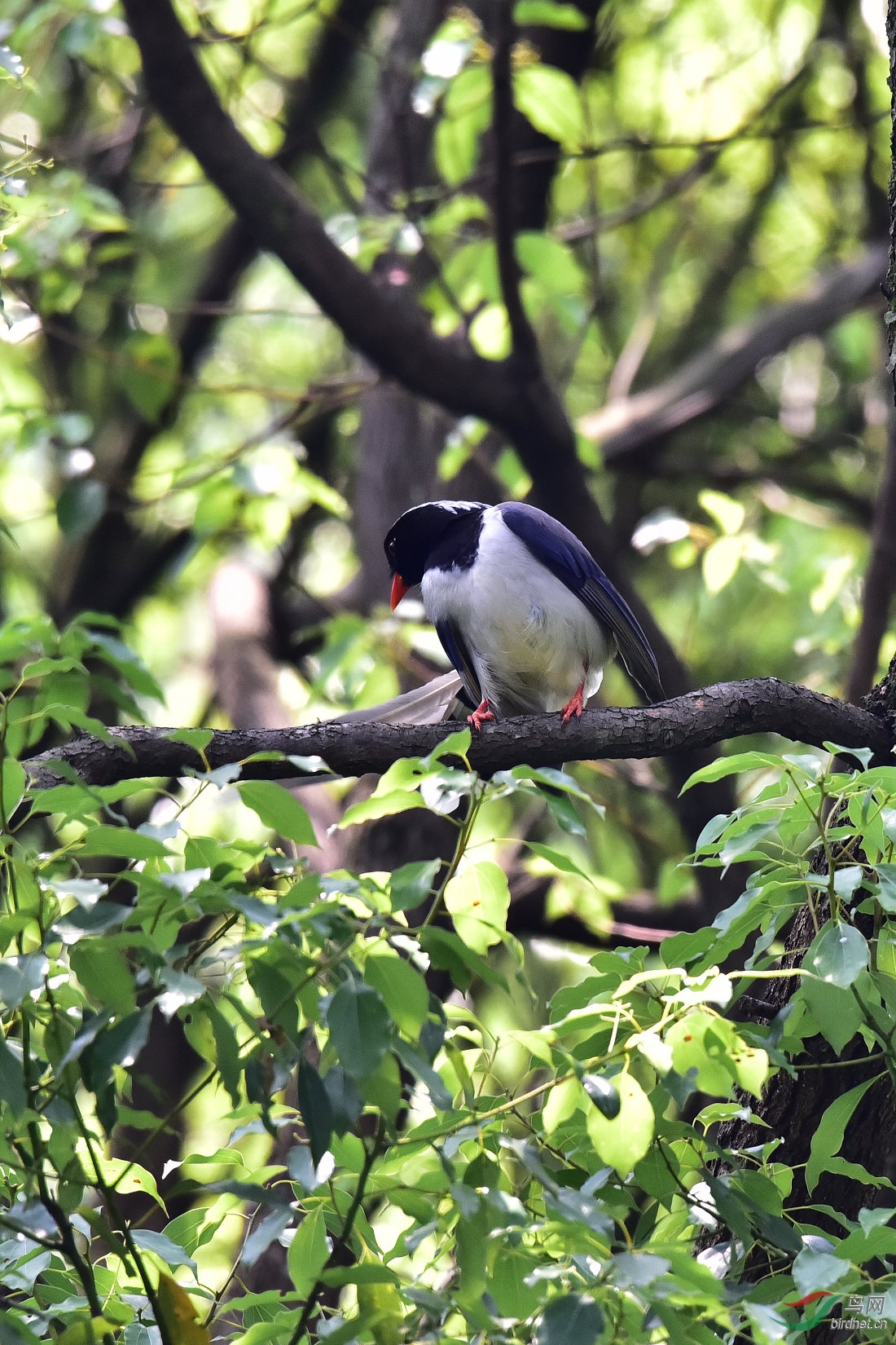 DSC_0390.JPG