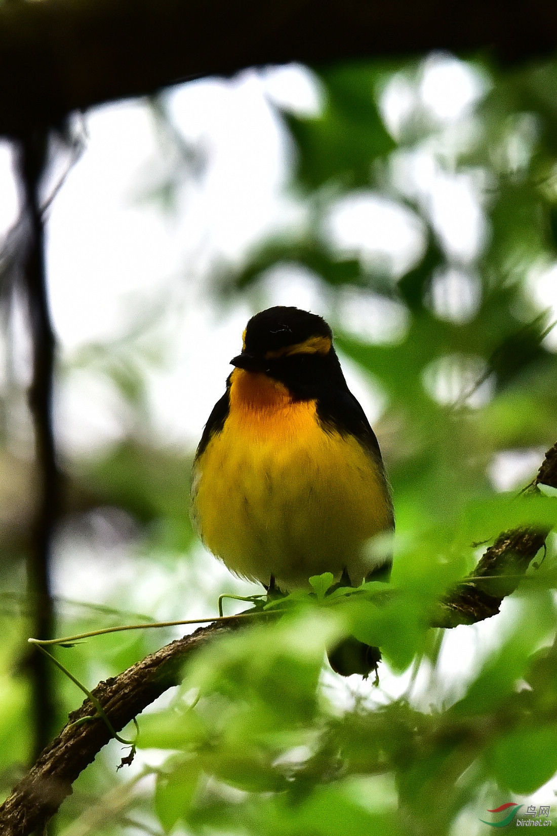 DSC_1161.JPG