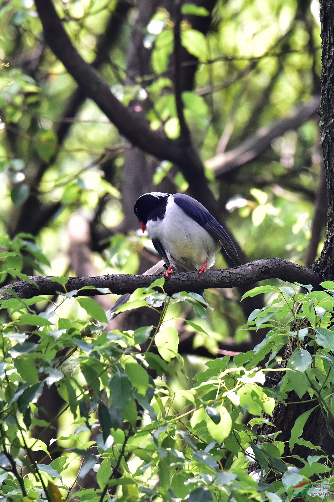 DSC_0391.JPG