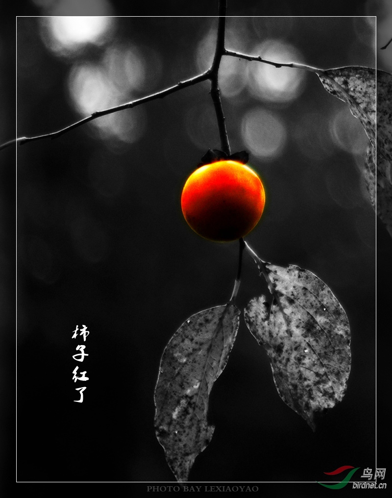 ΢��ͼƬ_20190925080655_����.jpg