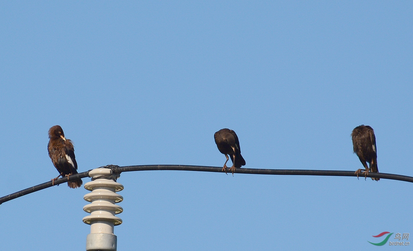 DSC_6887.JPG