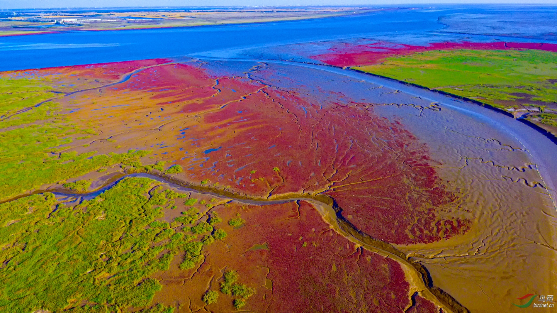 多彩中国"我爱你"