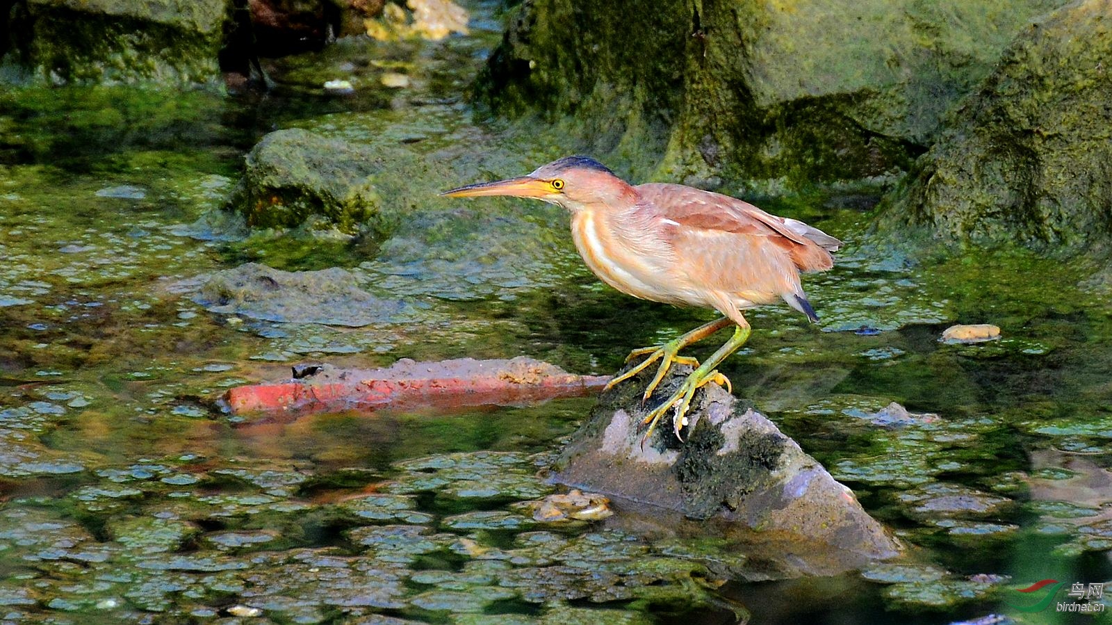 DSC_6384.JPG