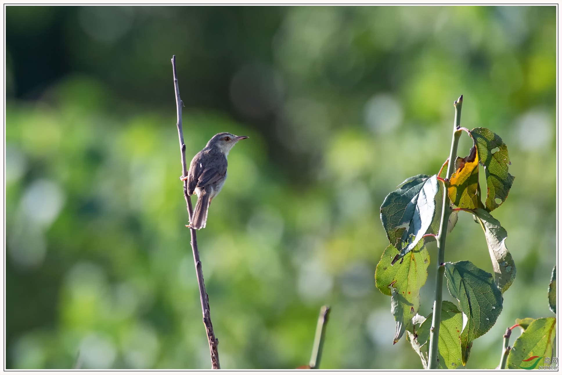 Զ����ݺ15��