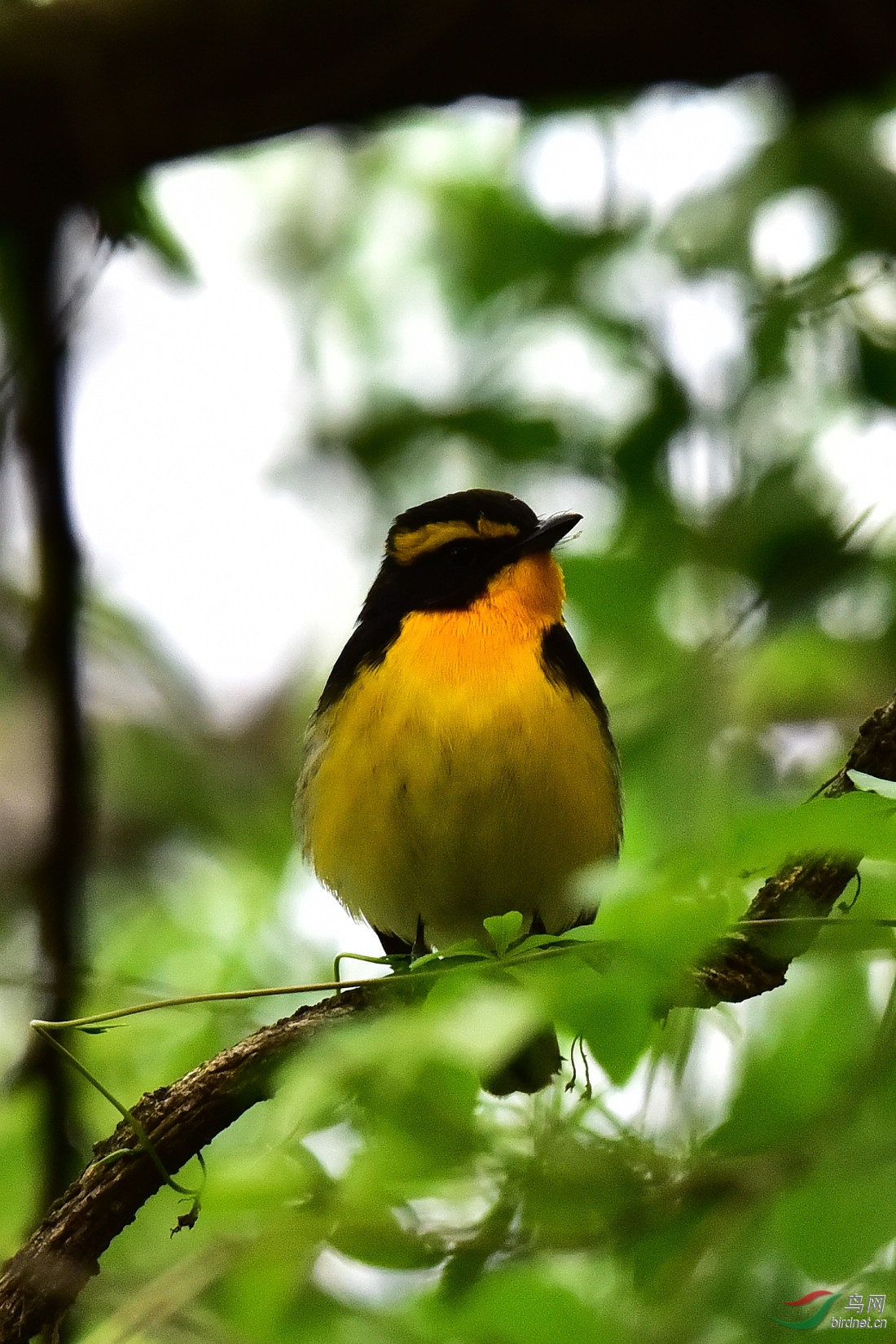 DSC_1162.JPG