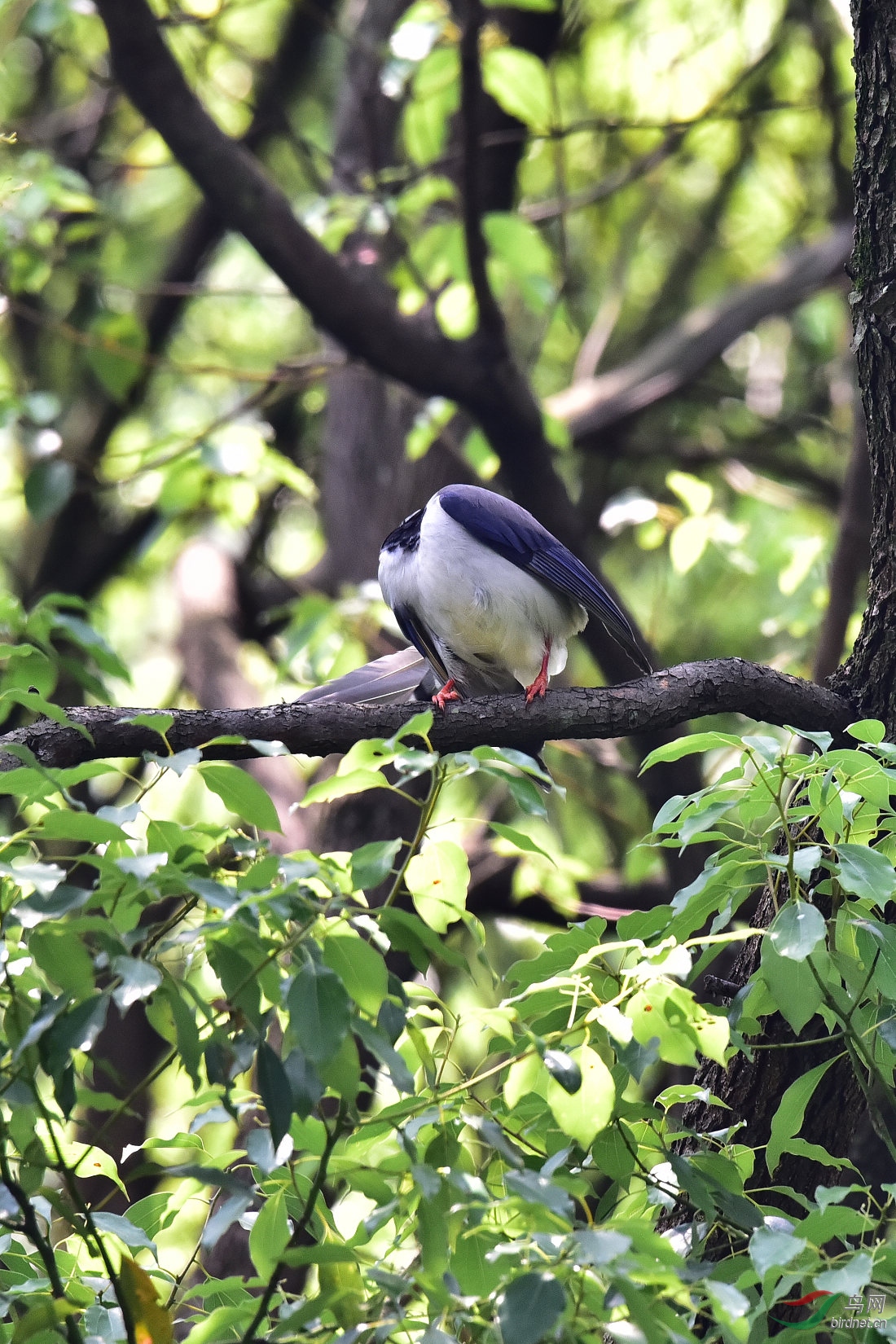 DSC_0392.JPG