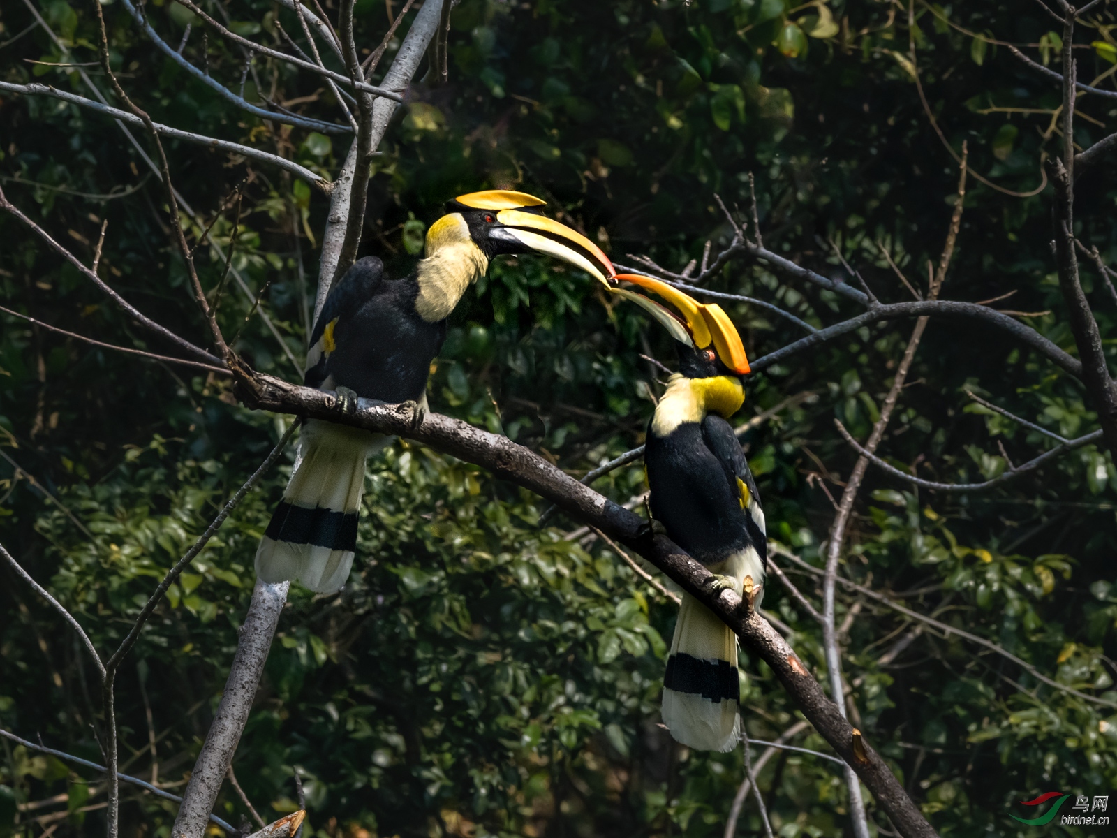 DSC_9582.jpg