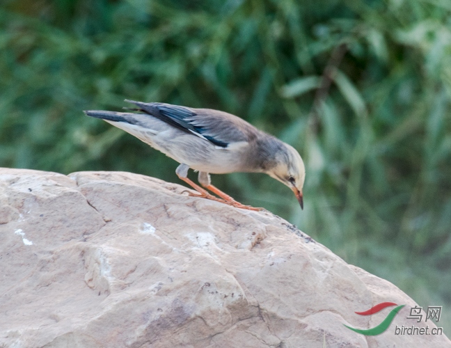 LJH_1194.jpg