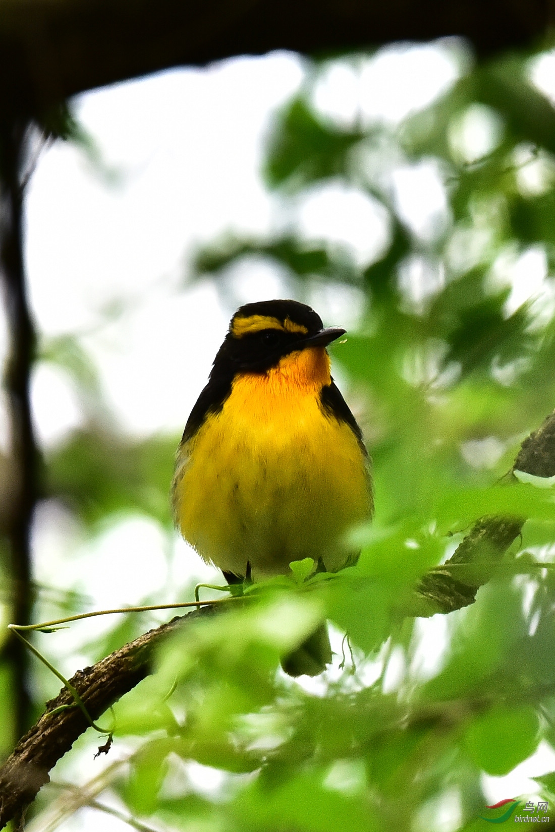 DSC_1164.JPG