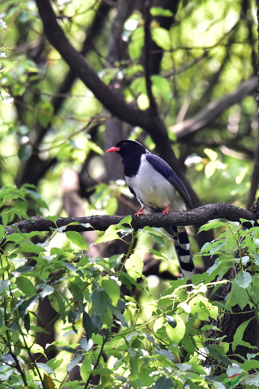 DSC_0394.JPG