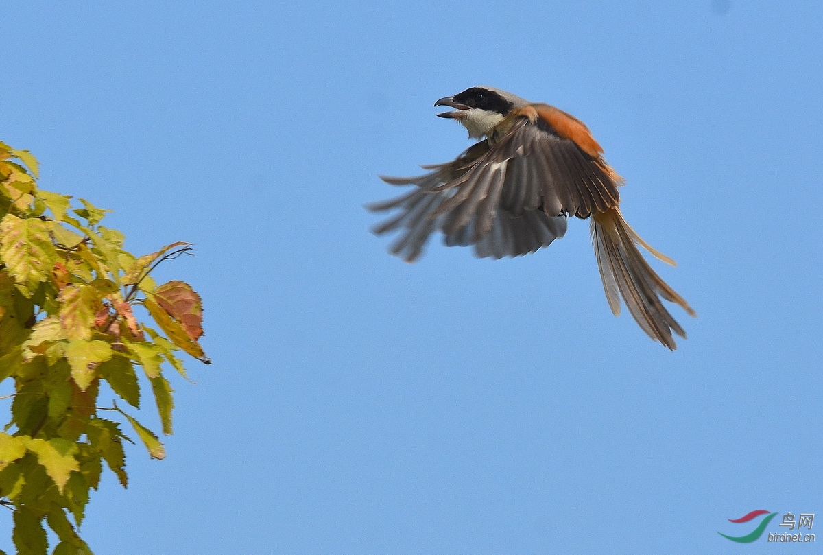 DSC_2065.JPG