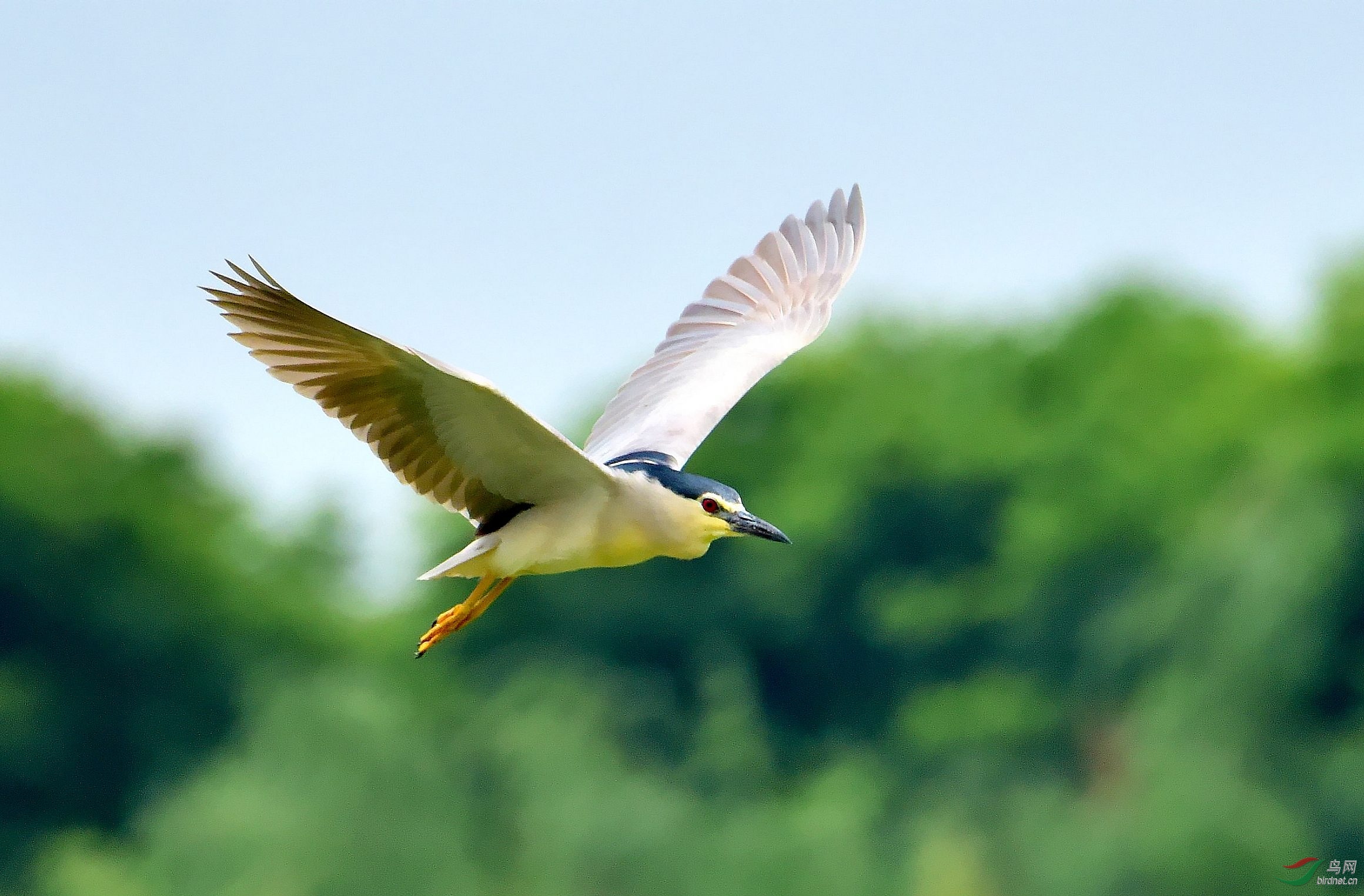 DSC_0053_conew3.jpg