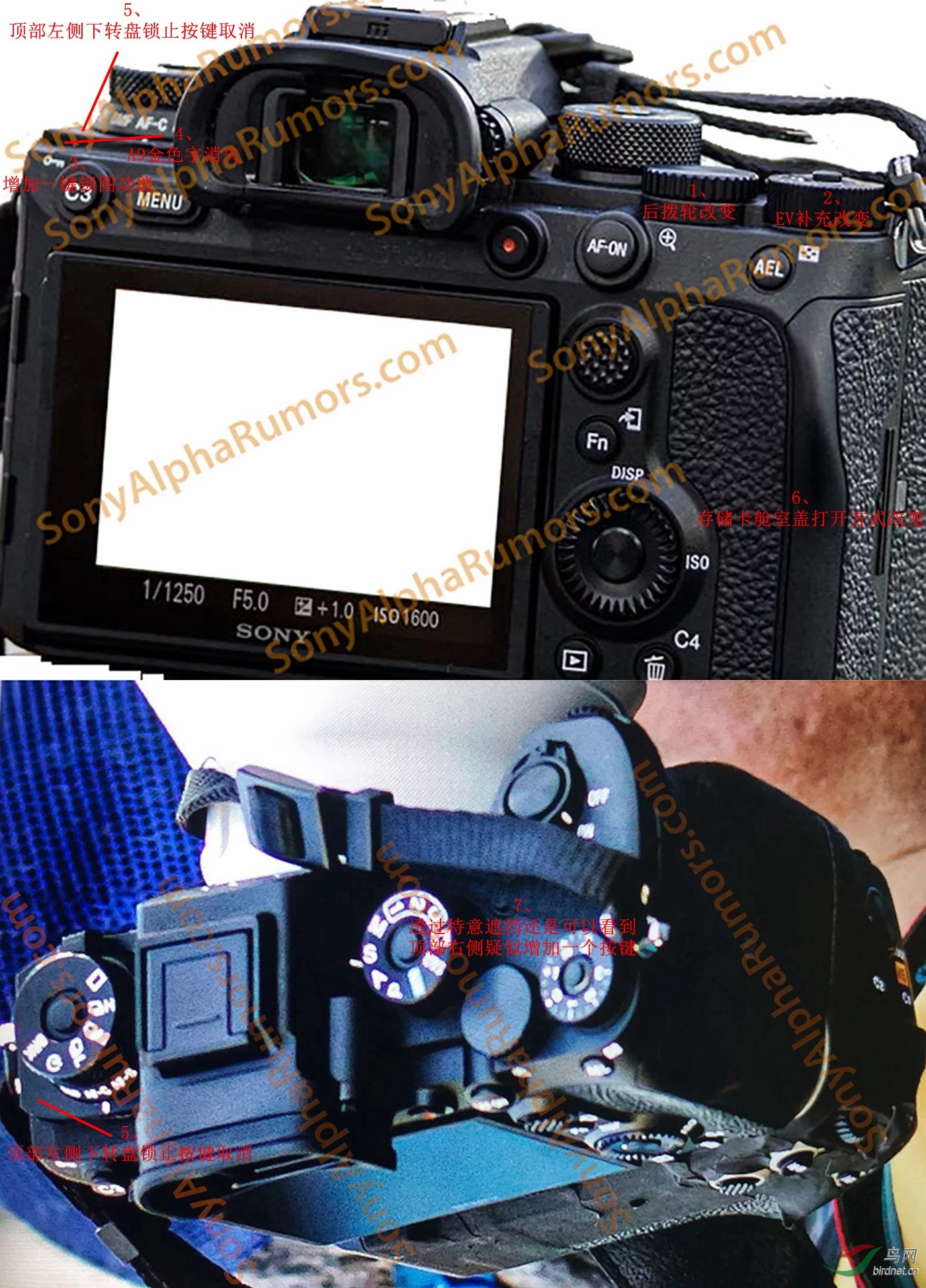 A9II_����.jpg