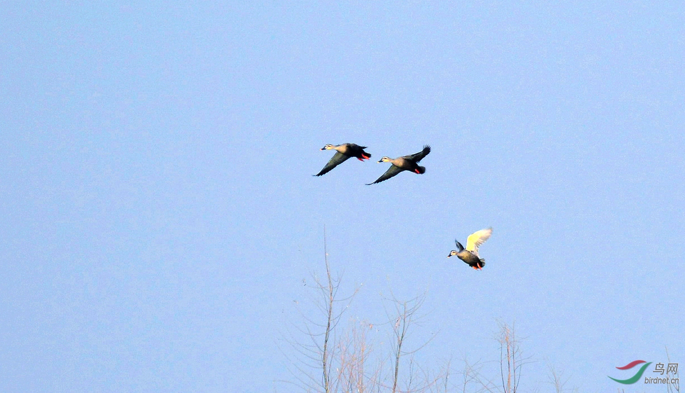 DSC_8607.JPG