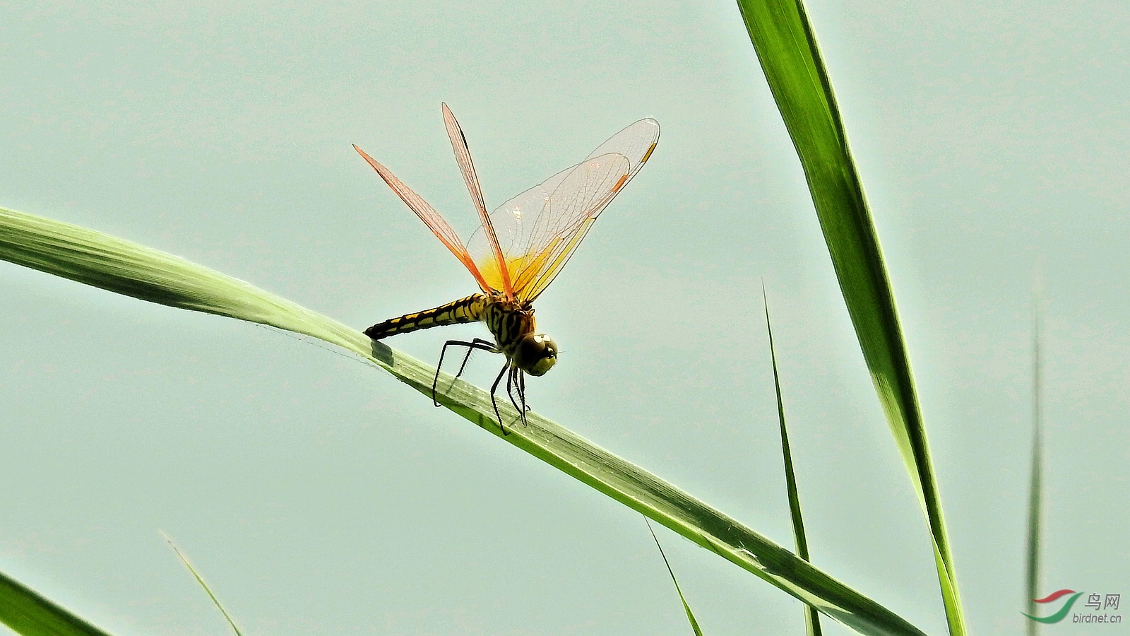 DSCN2761.JPG
