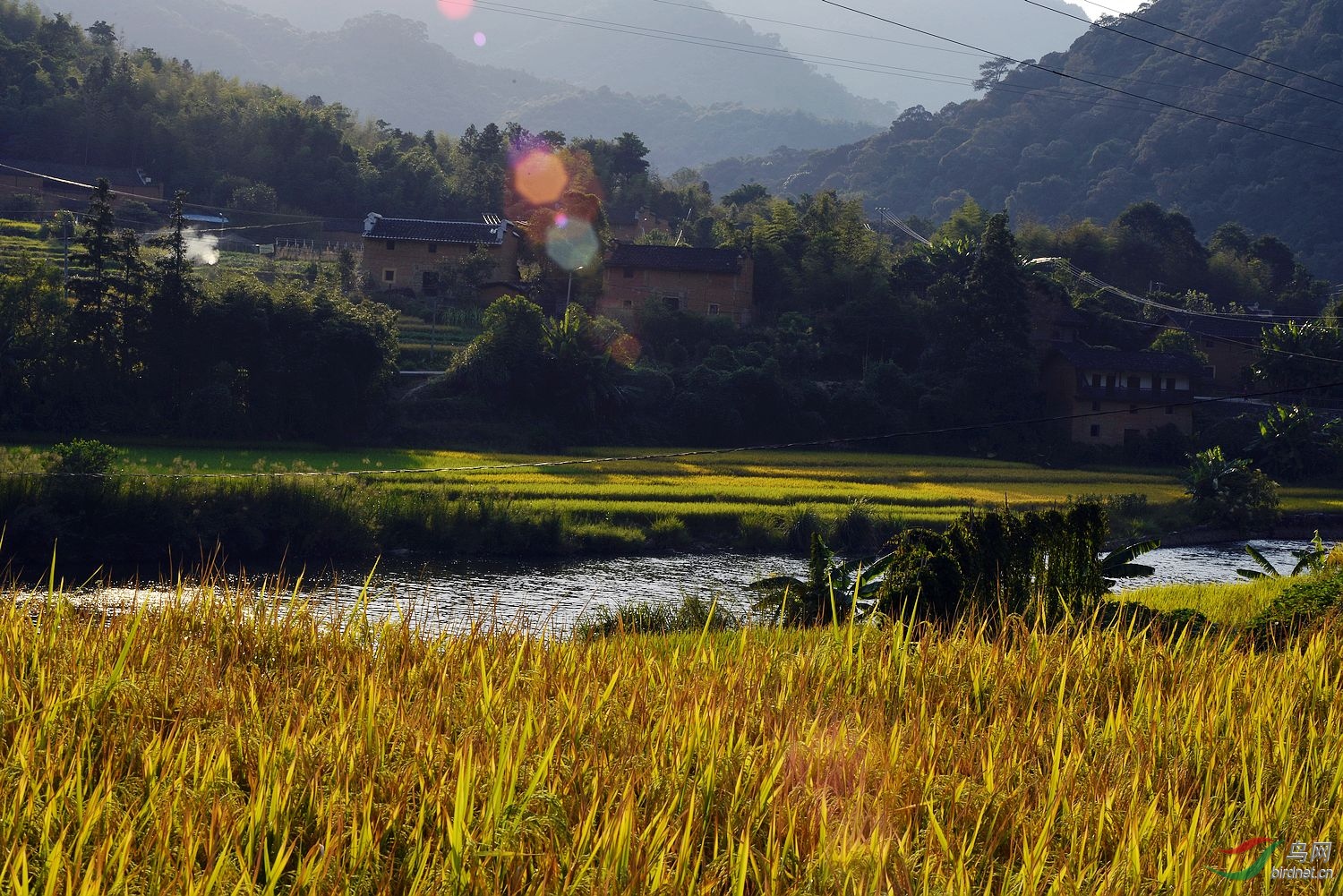 乡村游秋景