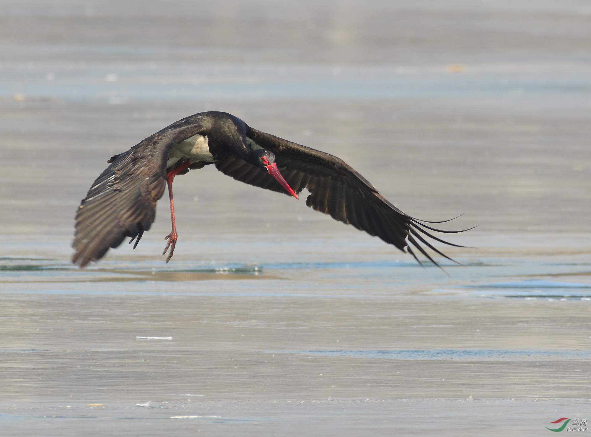 ������Ӱ 2407����.jpg