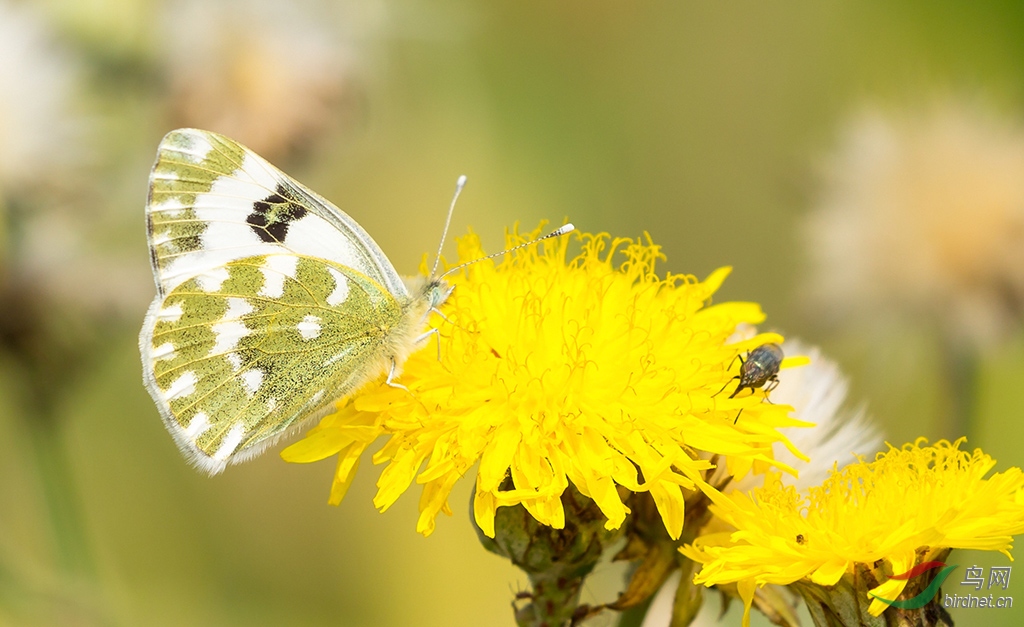 �����c 1661.jpg