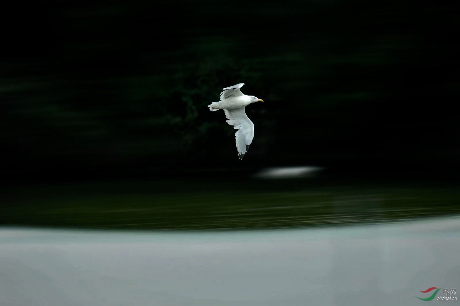 13663838-BEC9-4AD4-84F8-2621801C1CBB.jpeg