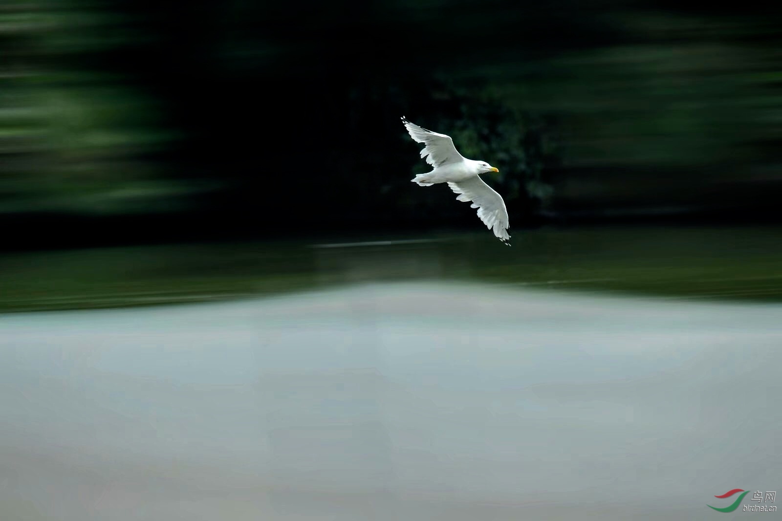D8E426EA-898E-4D18-8775-2903BA90121A.jpeg