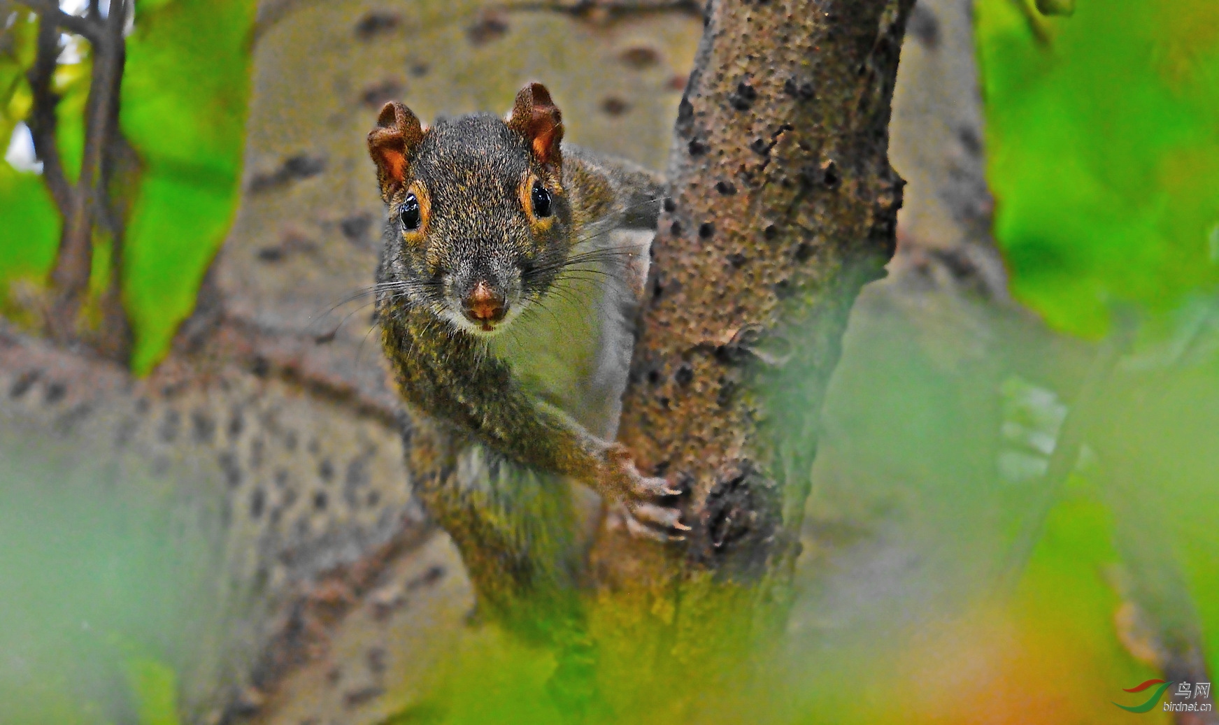DSC_6631a_����.jpg
