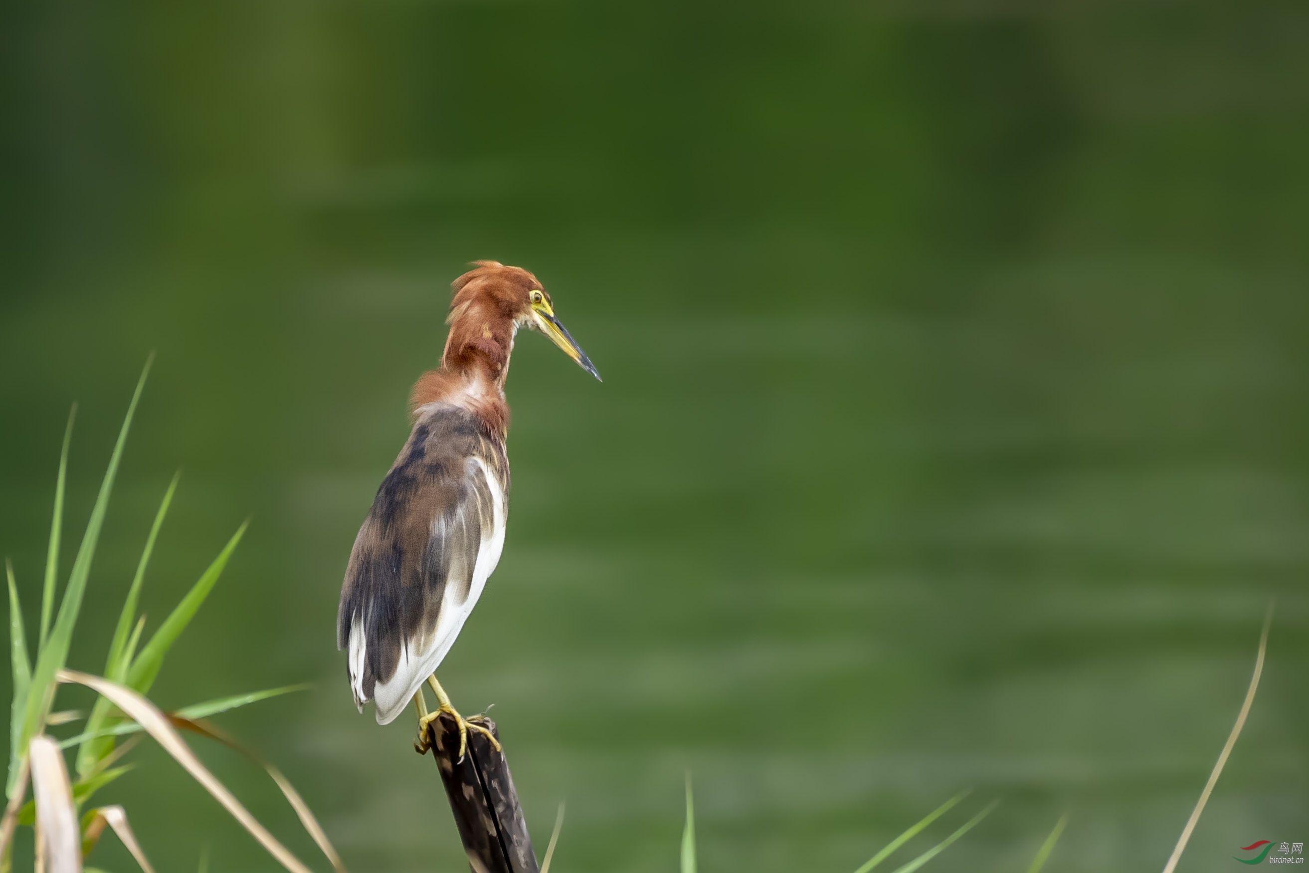 DSC_8051.jpg