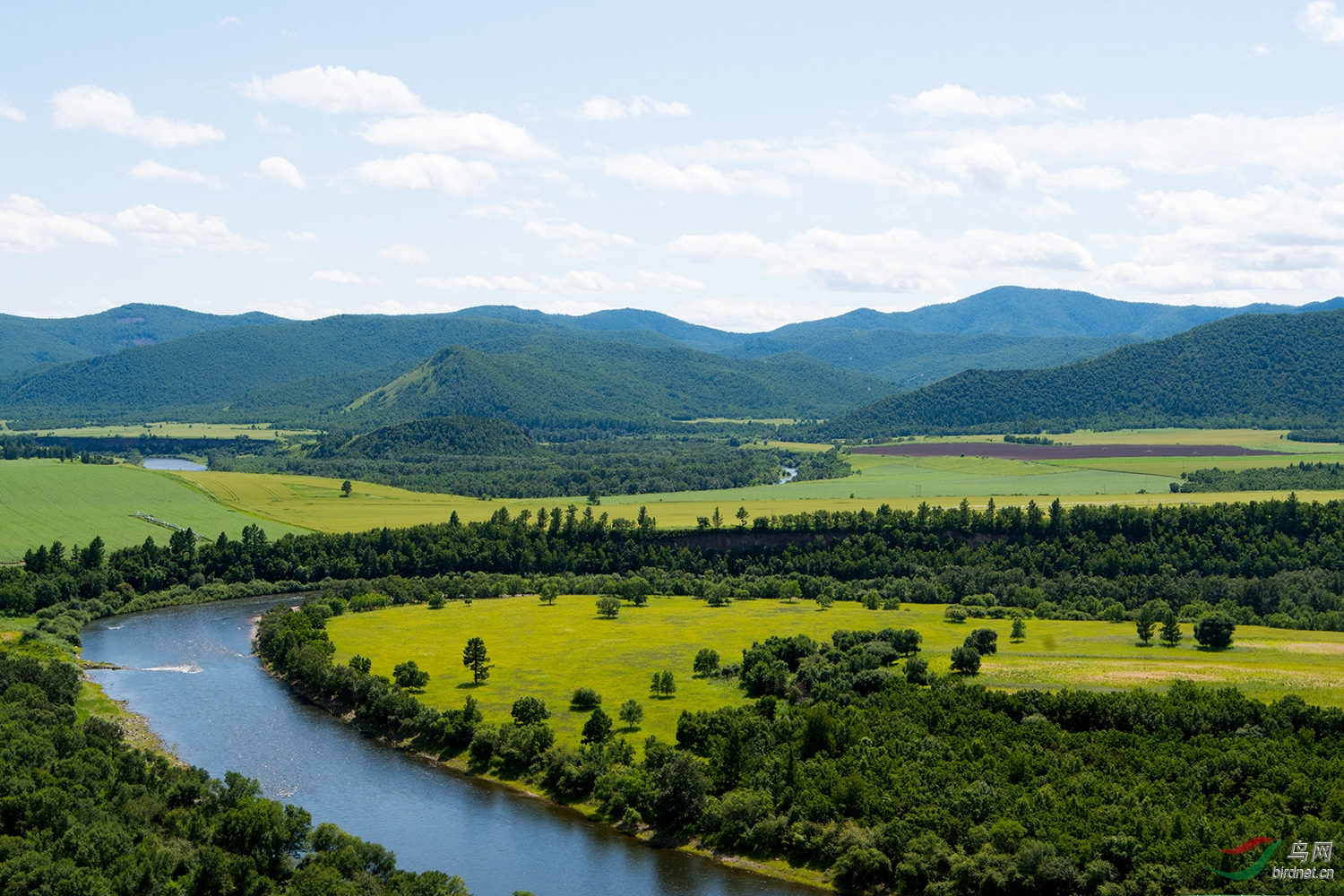 我和我的祖国#呼伦贝尔. 锦绣河山