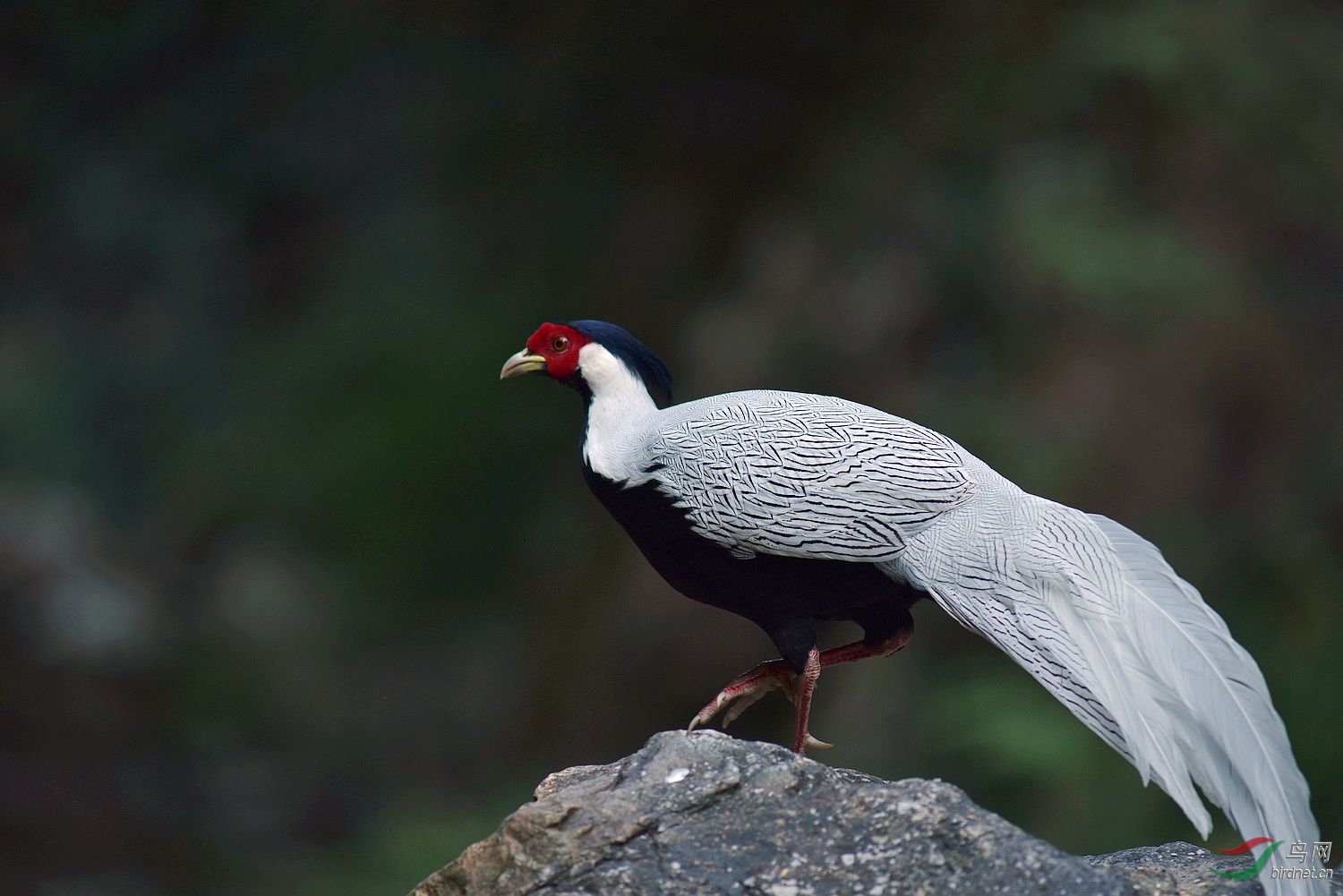 D8I_1989.jpg