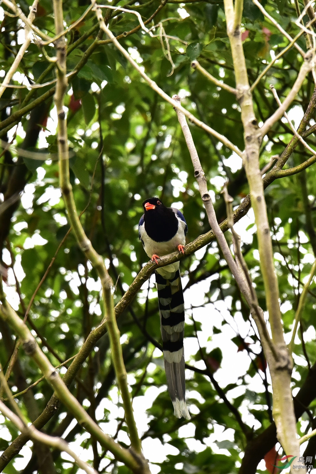 DSC_0399.JPG