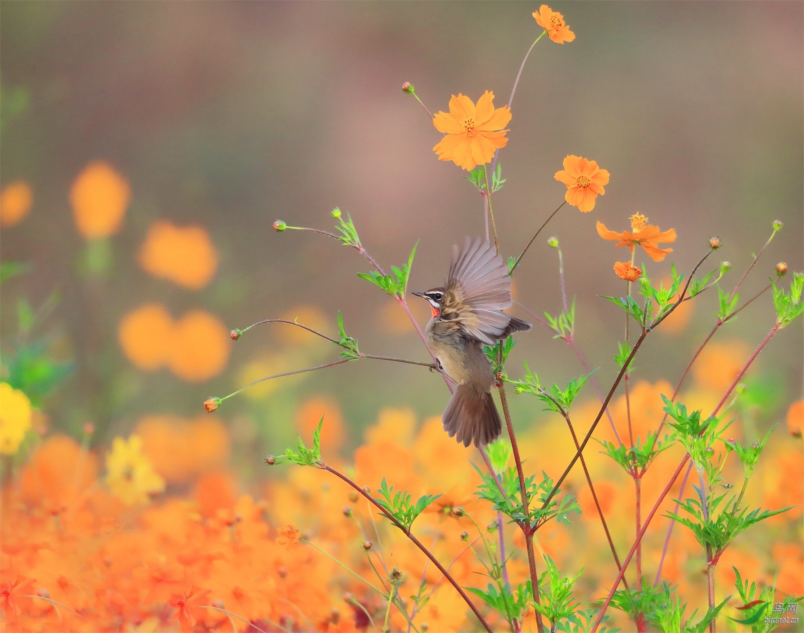 2 - ����.JPG