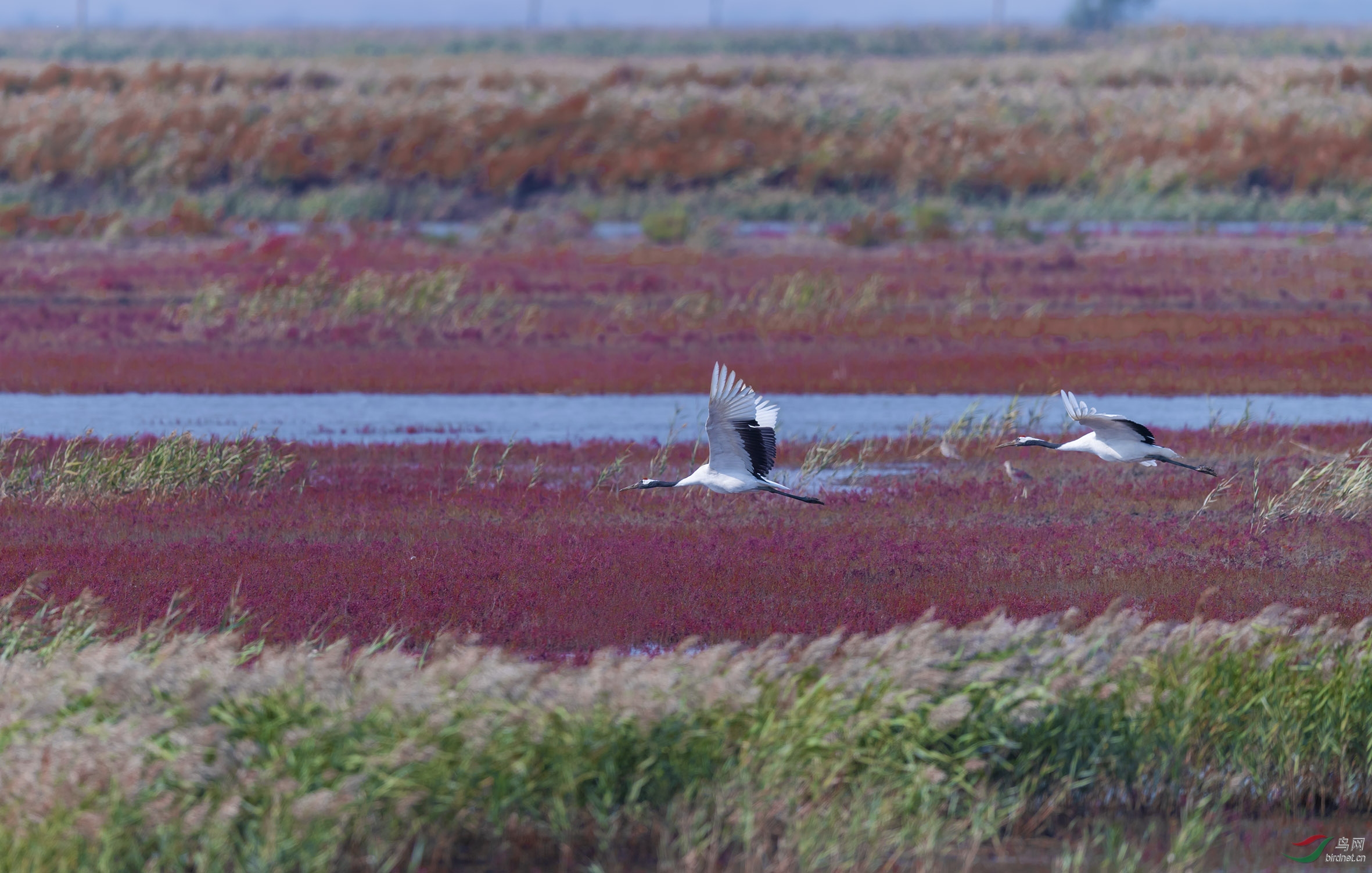 DSC_8472-2.jpg