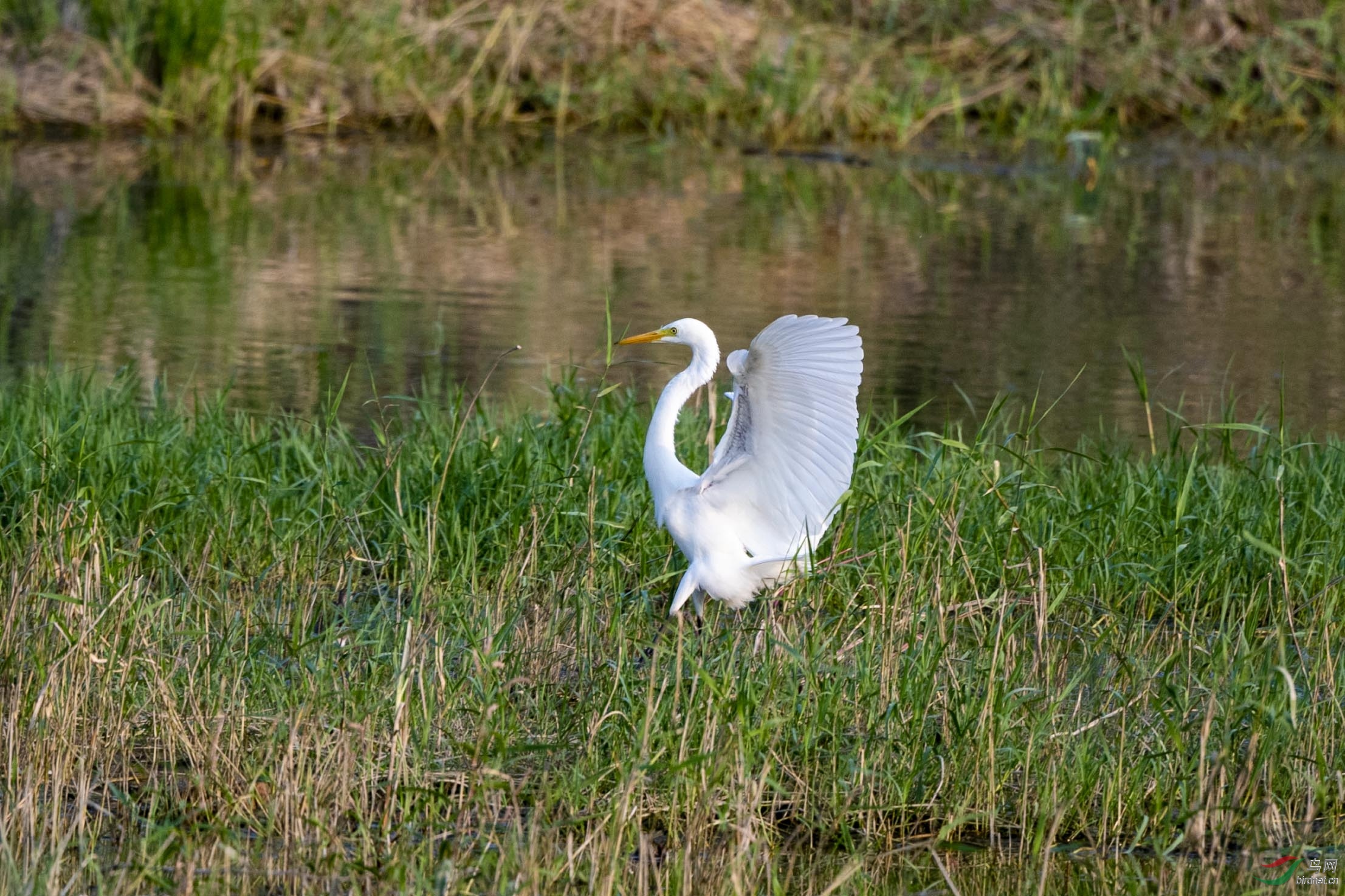 D50_3180.jpg
