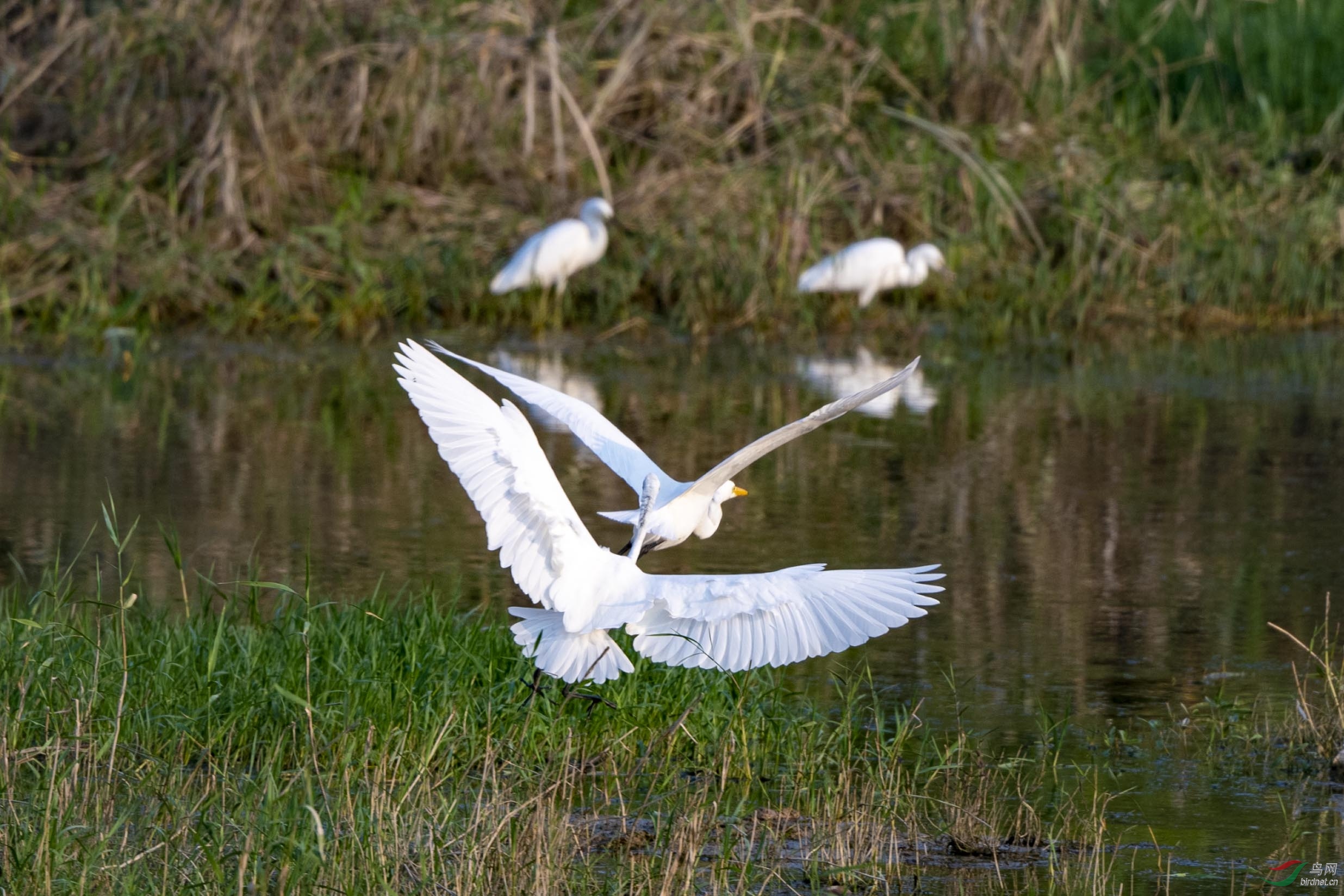 D50_3183.jpg