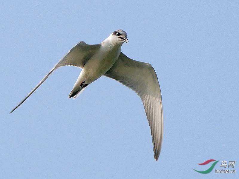 P3250628 - ����.JPG