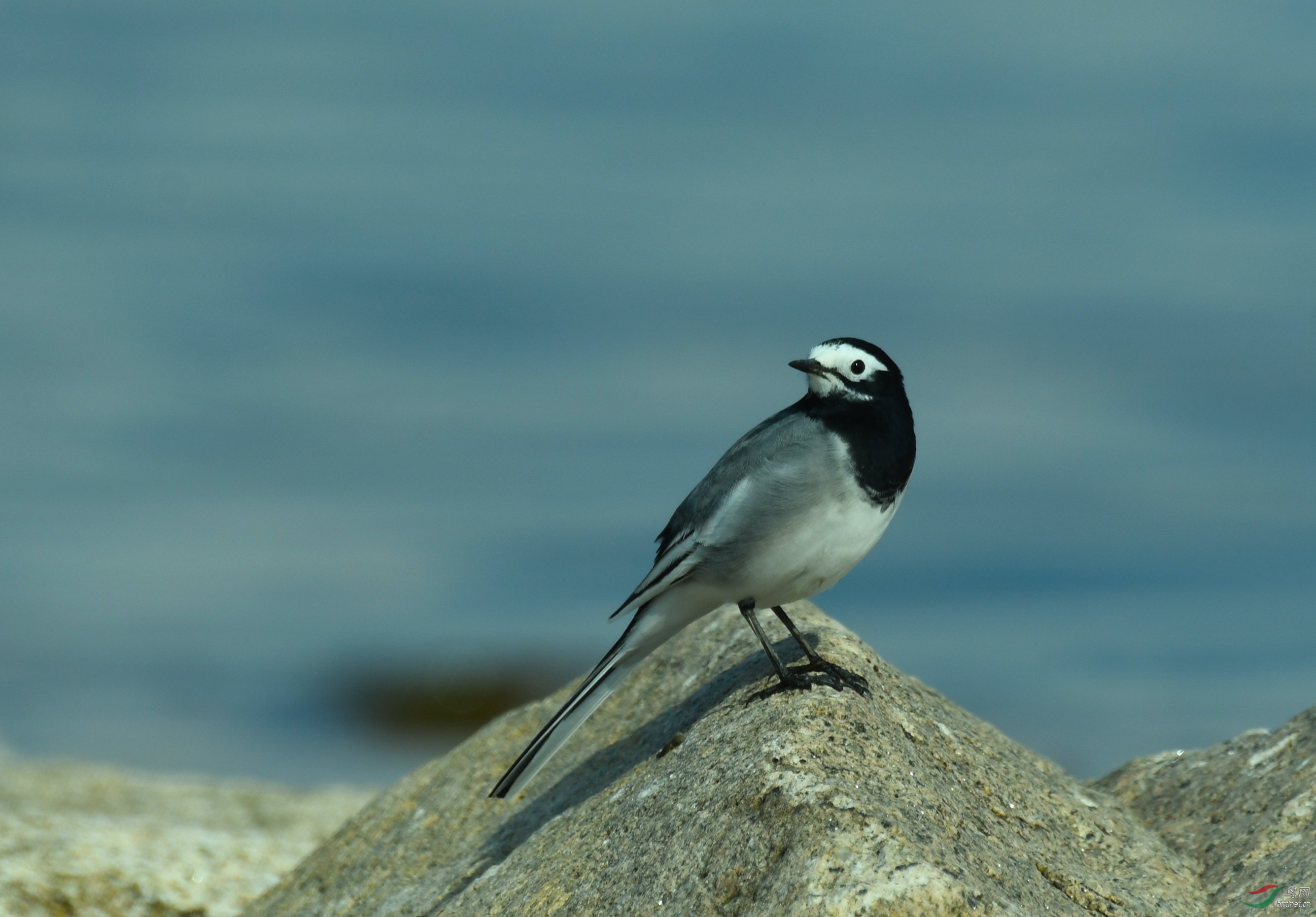 DSC_3288.JPG