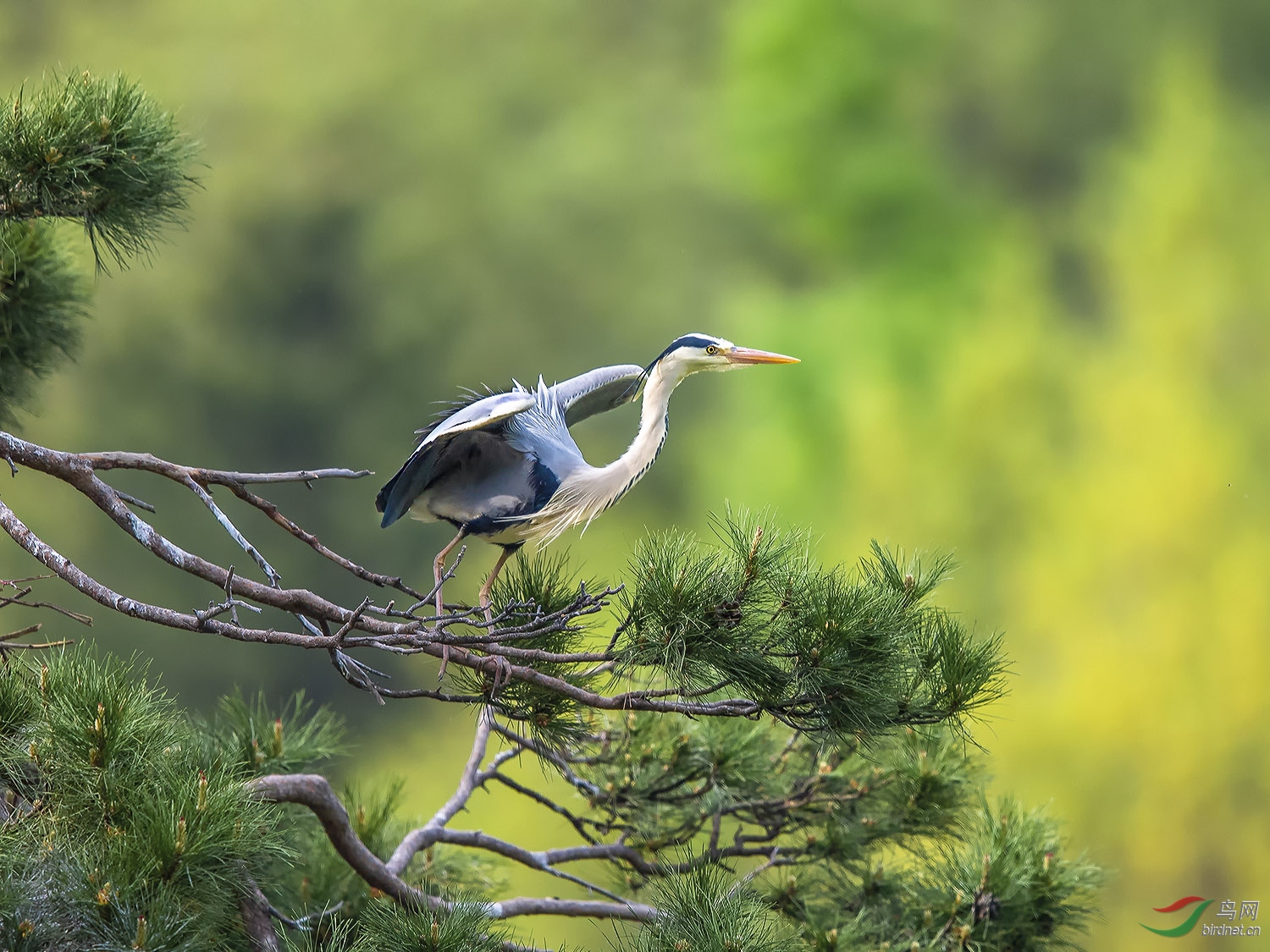 DSC_7039.jpg