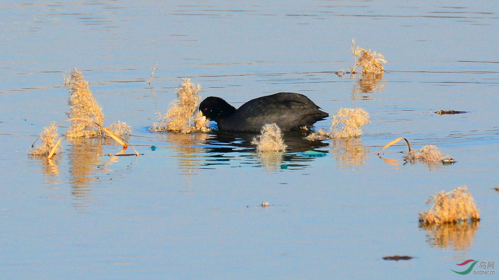 DSC_6766.JPG