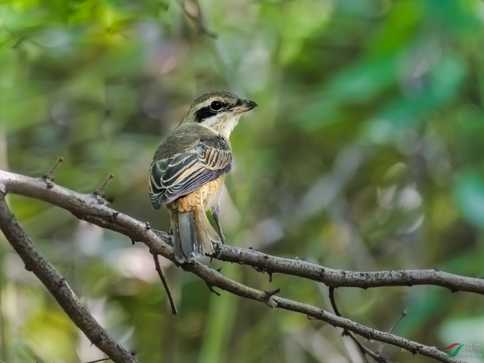 DSC_5813.jpg
