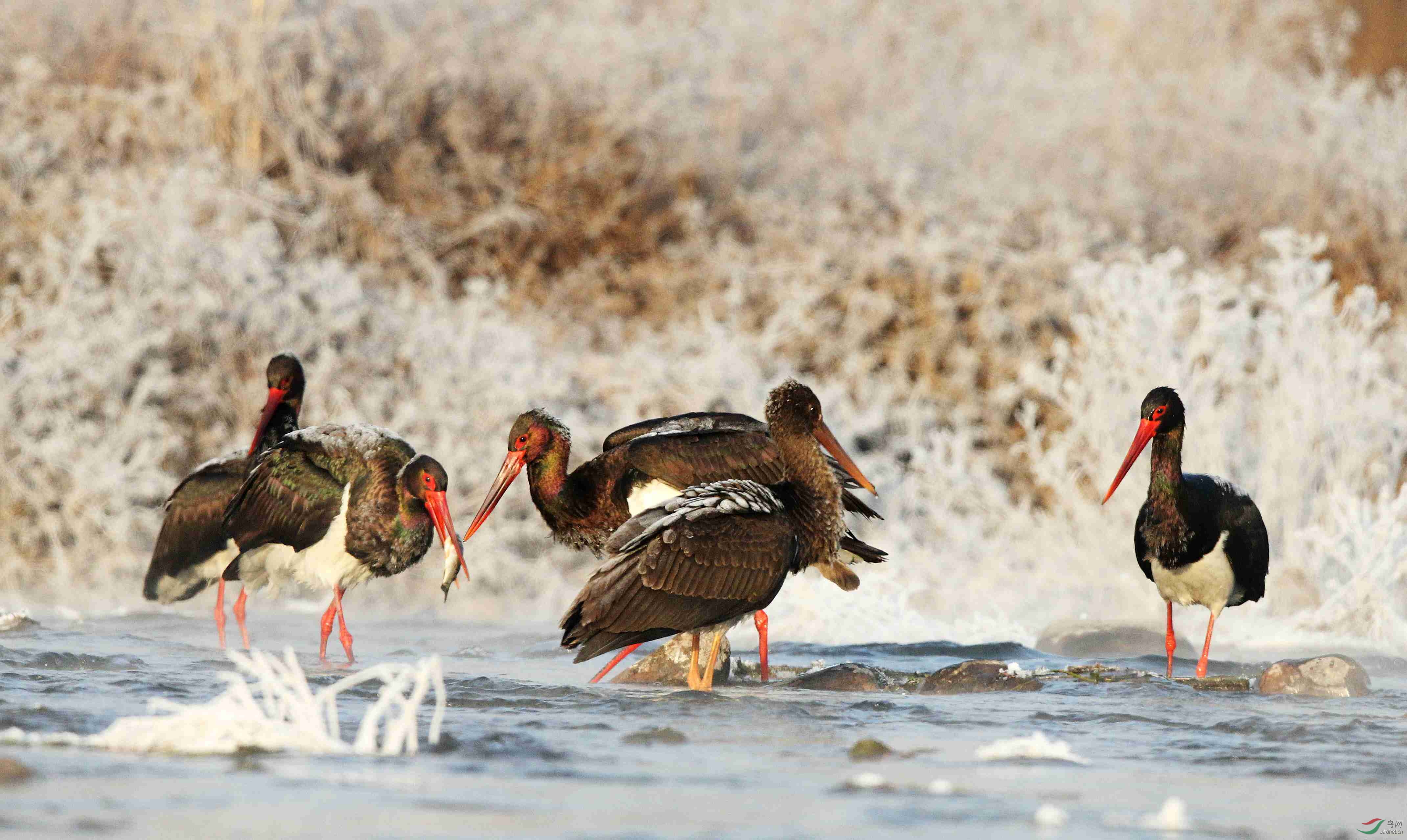 H46R0006_���� (2).jpg