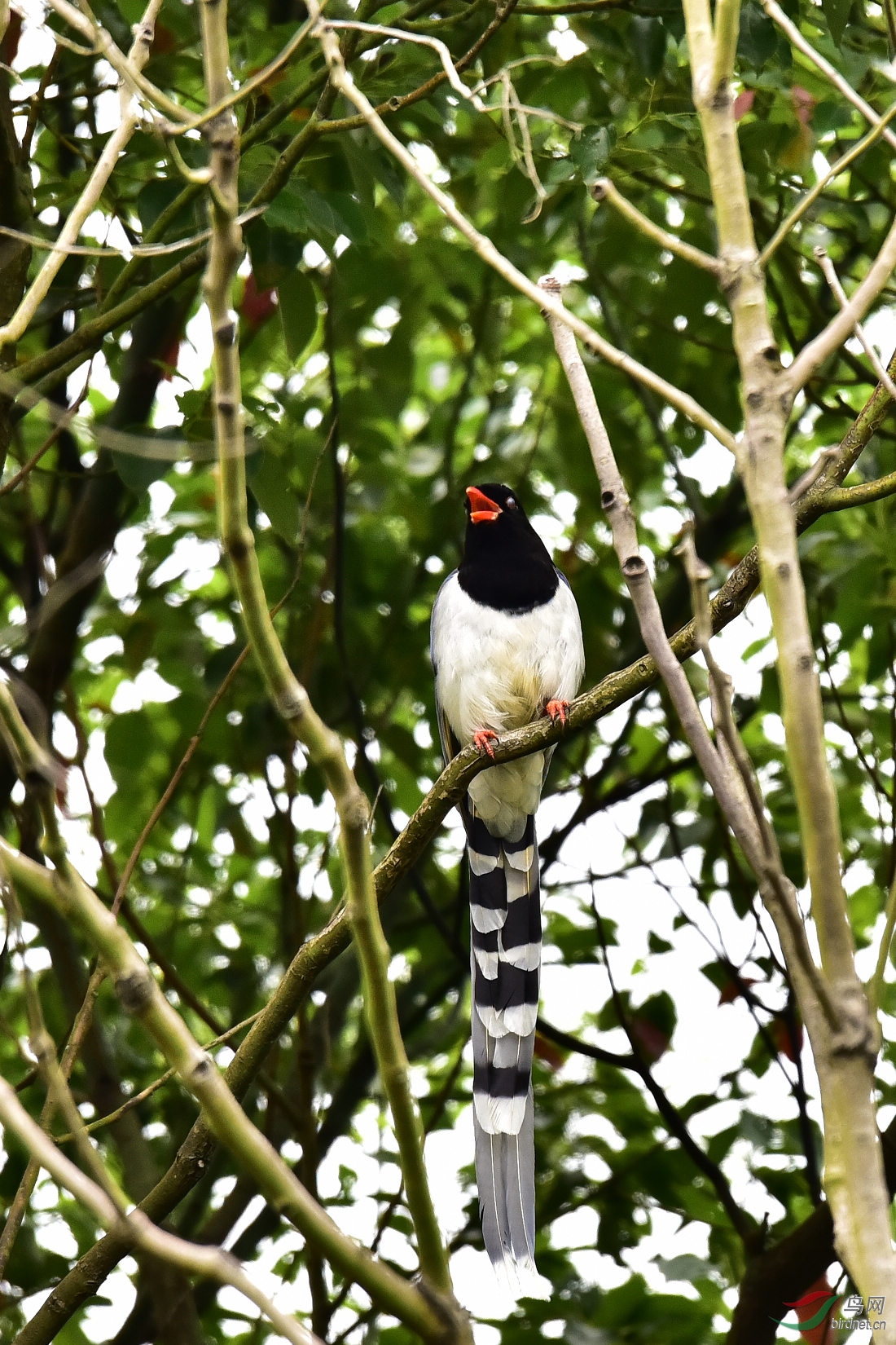 DSC_0405.JPG