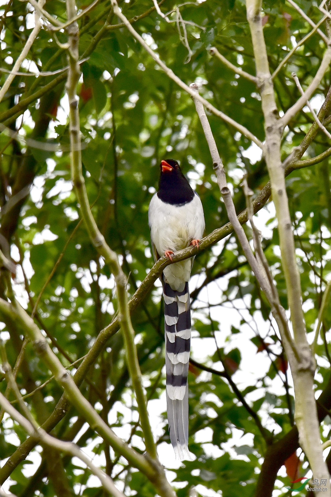 DSC_0406.JPG