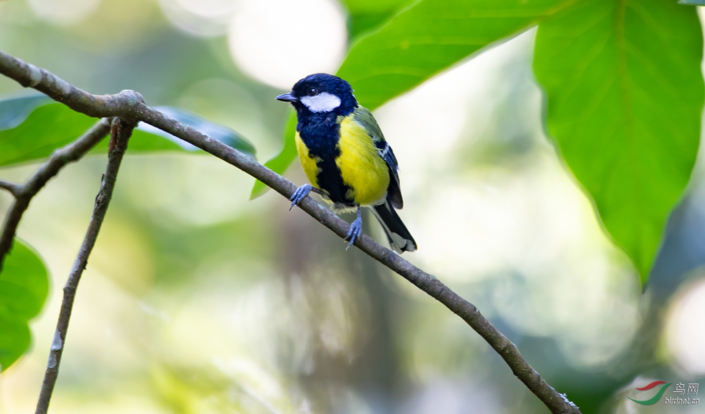 20190920ŭ�������13������ -�Ƽ�ɽȸ.jpg