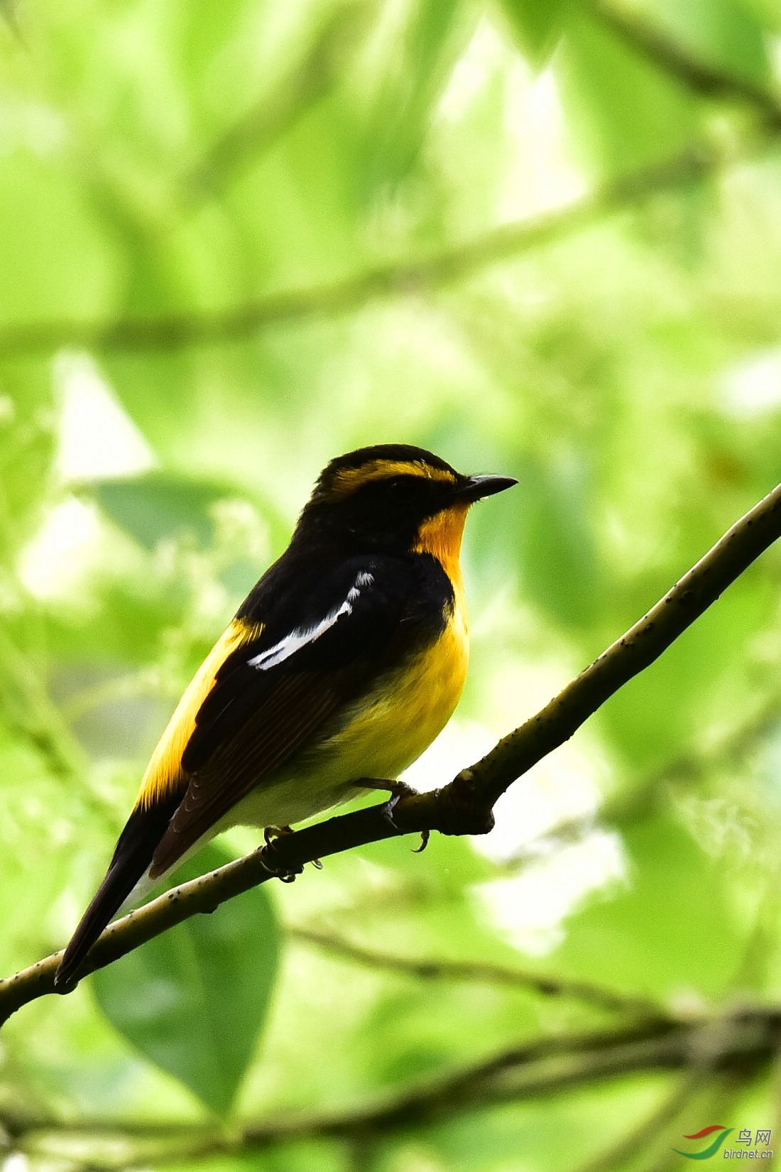 DSC_1177.JPG