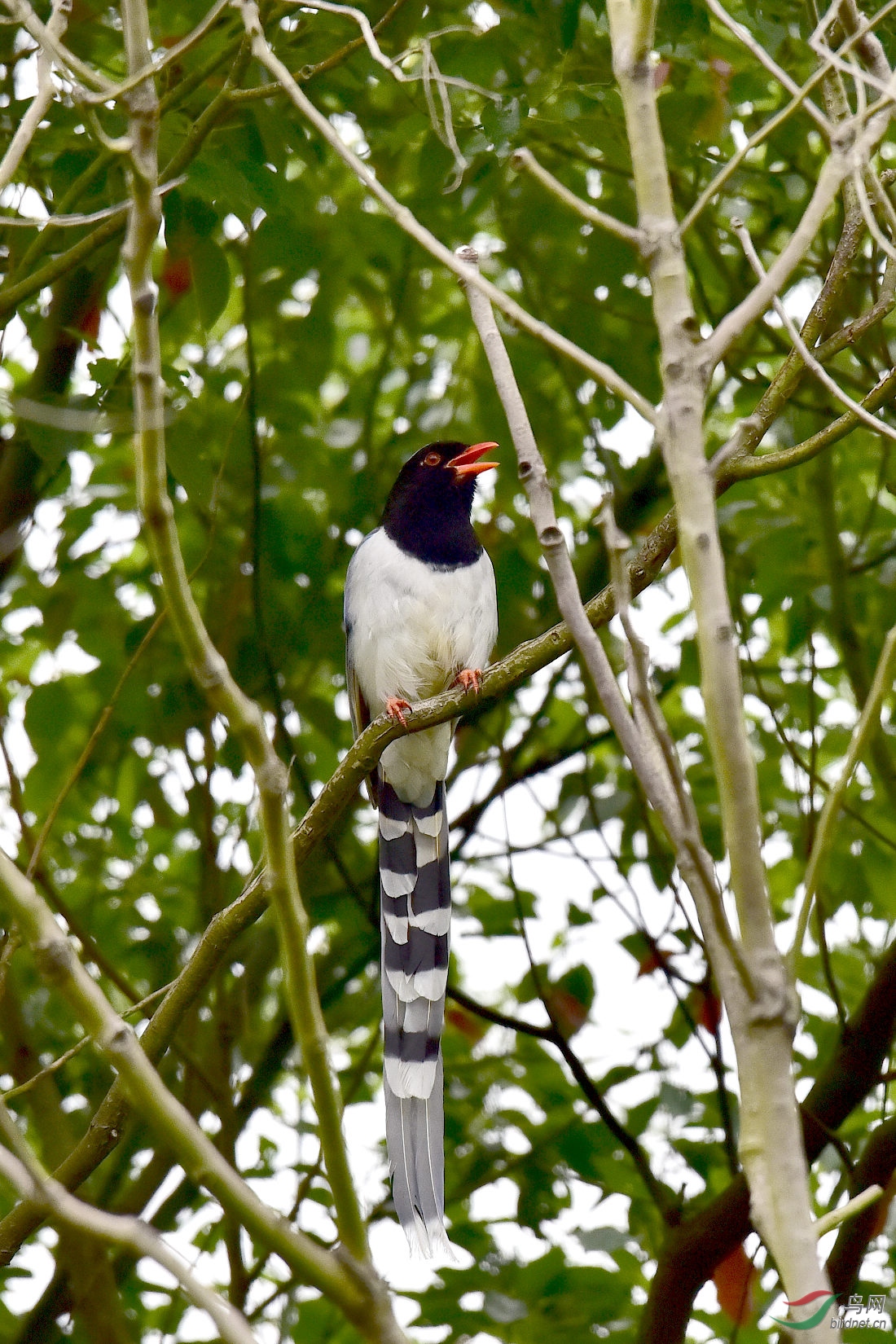 DSC_0407.JPG