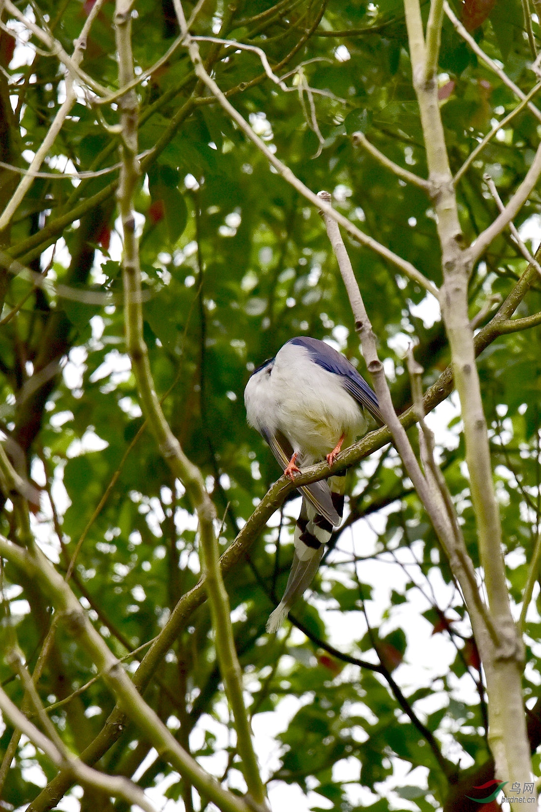 DSC_0408.JPG