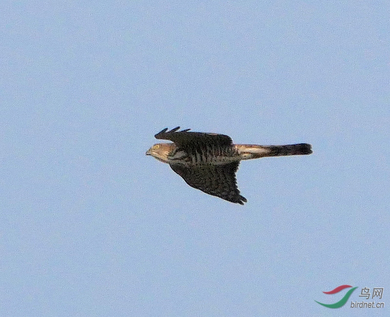 P3320628 - ����.JPG