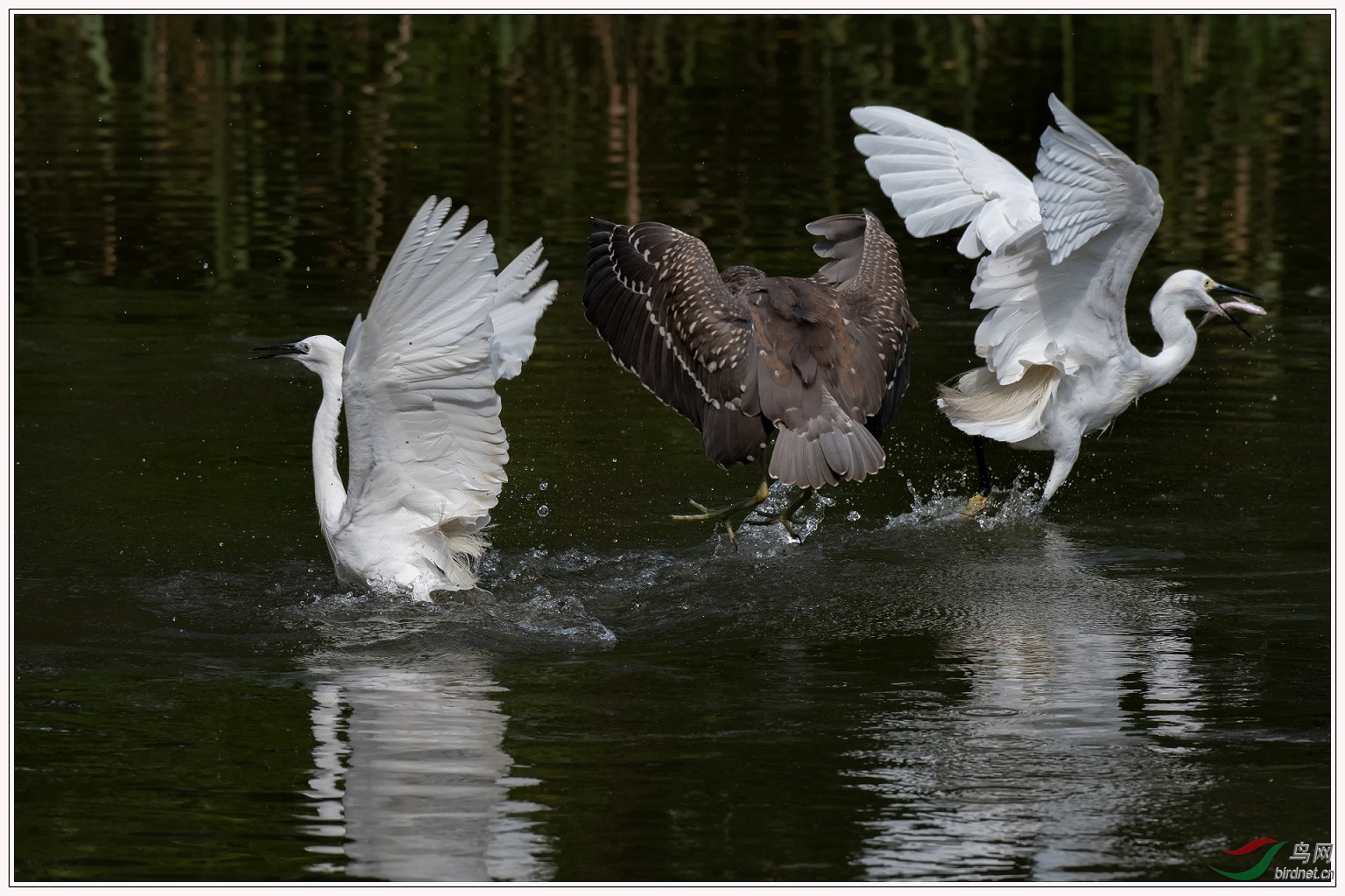 ����һ��