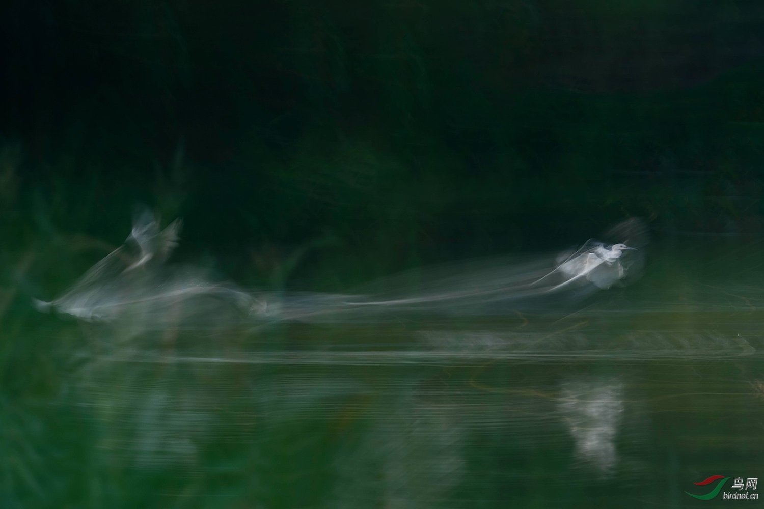 AR0I0027С.jpg